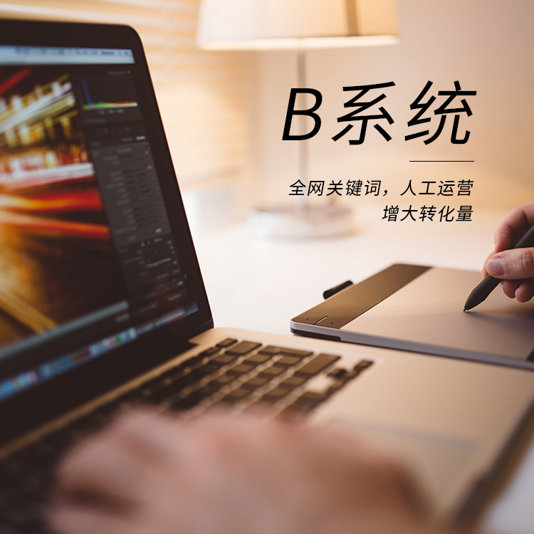 濟南網(wǎng)站優(yōu)化